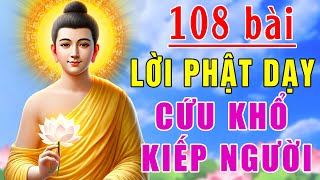 Nhạc Phật Giáo - LK Nhạc Phật Giáo Hay Nhất 2024 #108 BÀI LỜI PHẬT DẠY HAY NHẤT #CỨU KHỔ KIẾP NGƯỜI