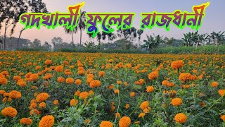 গদখালী ফুলের রাজধানী, যশোর | Godkhali Flower Garden, Jessore