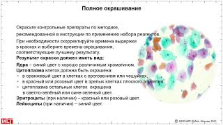 Papanicolaou staining - selection of regimes             Окраска по Папаниколау  -    подбор режимов