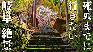 [Spring in Motosu City] 8 spectacular views of Gifu that you must see before you die - JAPAN in 4K