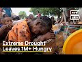 Extreme Weather Has Left 1M+ People Hungry in Southern Madagascar