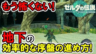 【ティアキン】絶対見て！地下の効率的な序盤の進め方！【ゼルダの伝説】