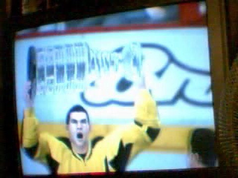 Yellow Jackets Win The Stanely Cup (Fight included) (NHL 09 Yellow Jackets Win The Stanely Cup (Fight included) (NHL 09