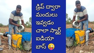 డ్రిప్ ద్వారా మందులు ఇవ్వడం చాలా స్మార్ట్ వర్క్ /భరత్ రైతుబడి