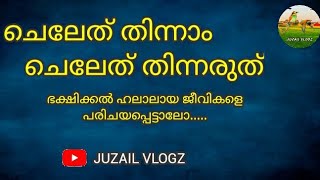 ഇസ്‌ലാമിൽ ഭക്ഷിക്കൽ അനുവാദനീയമാക്കപ്പെട്ട  ചില ജീവികളെ പരിചയപ്പെടാം....