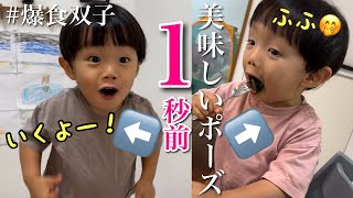 【まだ話さない双子2歳5ヶ月】お上品な弟、あれ連発の兄