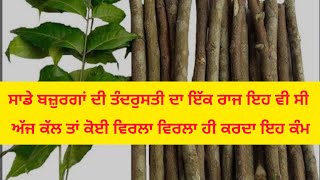 ਸਾਡੇ ਬਜ਼ੁਰਗਾਂ ਦੀ ਤੰਦਰੁਸਤੀ ਦਾ ਕਰਾ ਅਜੇ ਵੀ ਸੀ ਅੱਜ ਕੱਲ ਤਾਂ ਕੋਈ ਵਿਰਲਾ ਵਿਰਲਾ ਹੀ ਕਰਦਾ ਇਹ ਕੰਮ