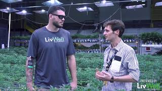 Chris Camozzi LivWell Enlightened Health Tour