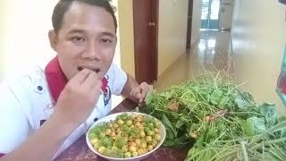 ញ៉ាំ ផ្លែសាវម៉ាវព្រៃ ​- ​How to grow rambutan​