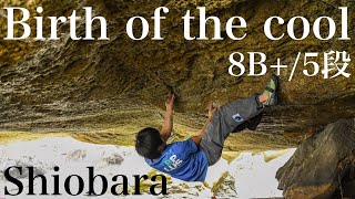 【塩原】Birth of the cool 8B+/5段 First Ascent