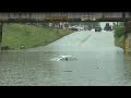 Major street flooding reported along Jensen Drive in North Houston