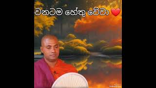 හරියටම බුදු දහම තේරුනොත් දැන්නම් ආවා ඇති කියලා තේරෙනවා❤️🙏