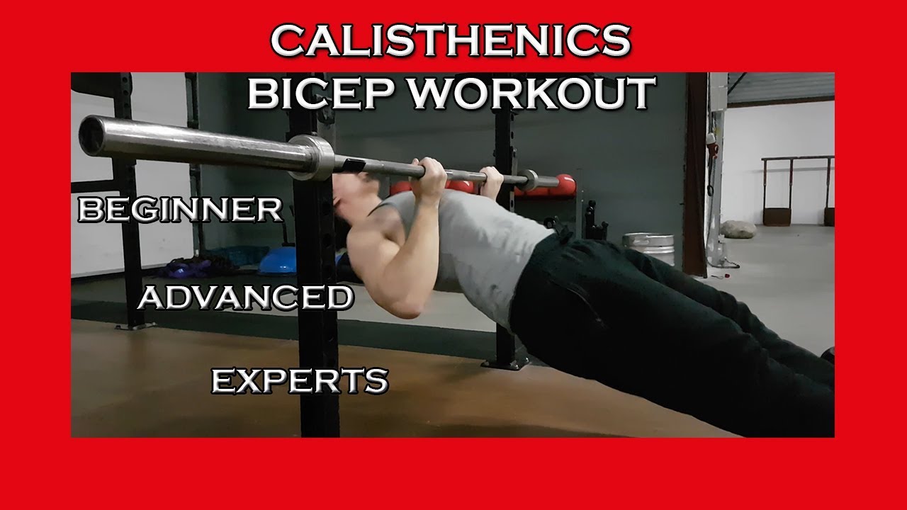 Calisthenics Bicep Workout - Beginner, Advanced & Expert Approved ...