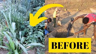 Permaculture grey water system before and after