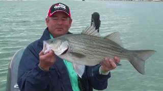 Catching Different Fish Species on Lake McConaughy NE