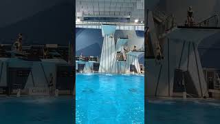 Watch 2023 Summer National Diving Championships on CBC Starting Friday at 9:50AM EDT