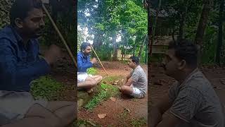 ഞാൻ പറഞ്ഞത് ശരിയല്ലേ.. 😃.. #Youtube Short #funny #Trees..