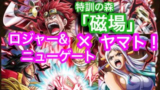 【トレクル】「磁場」特訓の森！ロジャー\u0026ニューゲート×ヤマト！編成！【OPTC】Training Forest VS Kid!