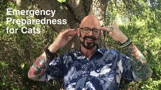 Emergency Preparedness for Cats
