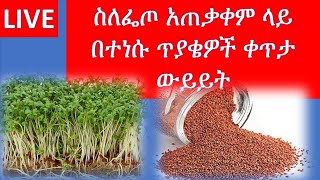 በፌጦ አጠቃቀም ላይ በተነሱ ጥያቄዌች ላይ ቀጥታ ውይይት