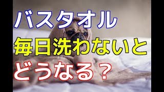 【得する知識】バスタオル毎日洗わない人は…なんとOO％？！【悩み人必見】