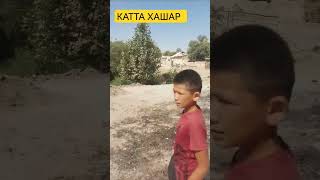 АСФАЛТГА КАТТА ХАШАР