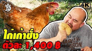 ไก่เก้าชั่ง ตัวละ 1,400฿