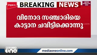 ഇടുക്കിയിൽ വിനോദസഞ്ചാരിയെ കാട്ടാന ചവിട്ടിക്കൊന്നു