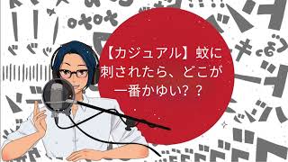 【カジュアル】蚊に刺されたら、どこが一番かゆい？？ [YUYU と一緒に日本語]