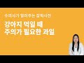 이 과일은 위험해요 강아지가 먹으면 안되는 과일 6가지