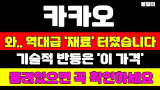 [카카오 분석] 진짜 이 가격에 전재산 겁니다 무조건 따라하세요 12월 대응전략 확인하세요 #카카오 #카카오주가 #카카오주가전망