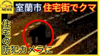 室蘭市内で相次いだクマの目撃　住宅の防犯カメラがクマの姿をとらえる　北海道が「ヒグマ注意報」発表