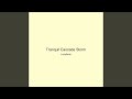 Tranquil Cascade Storm