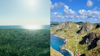 【4K HDR】Hokkaido Rebun Island scenery Soya Bus Tour Filmic Pro