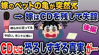 【伝説のスレ】嫁のペットの亀がﾀﾋんだ。俺「寿命だったんだよ」嫁「違うの！」→スレ民絶叫の真相が明らかに…【2ch修羅場スレ・ゆっくり解説】【前編】