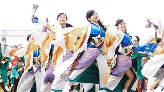 [4K]半布里　2016犬山踊芸祭 石作公園メイン会場 1日目