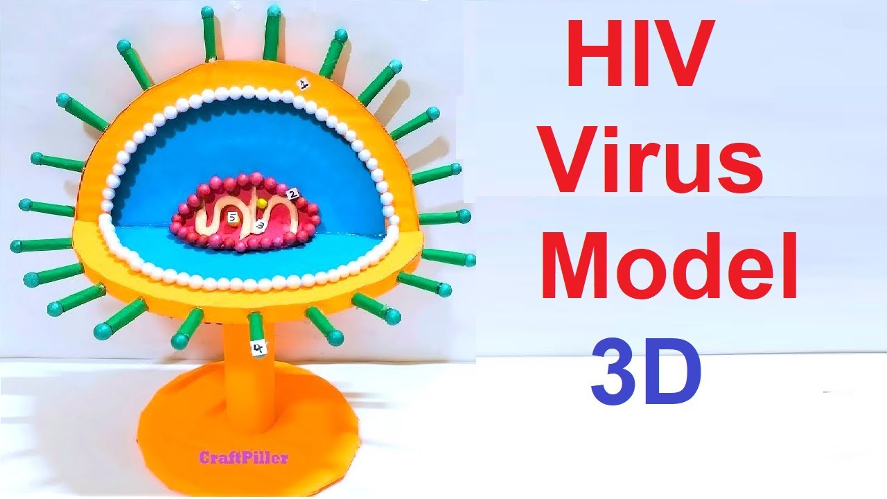 Hiv Virus 3d Model