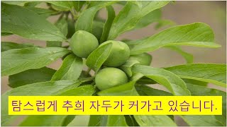 의성군농업기술센터 유튜브 교육