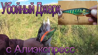 ДЖЕРК, ПОДКОС ПОД БАСТЕР с Алиэкспресс ! КЛАССНЫЙ ДЖЕРК ! ОБЗОР И РЫБАЛКА !