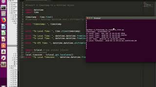 Python Convert Timestamp to Readable Time (Local and UTC Time)