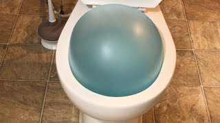 Wubble Bubble vs Toilet - Will it Flush Experiment