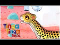 Cheetah’s Big Race! 🐆💨 | 1 Hour of African Animal Folk Tales | Tinga Tinga Tales Official