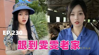 （EP230）挽回前女友的心，偷摸跟着她回老家的第一天，我要上阵清牛粪？【阿坤大龄剩男】