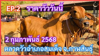 EP.2 #ราคาวัววันนี้ 2 กุมภาพันธ์ 2568 #ตลาดวัวอำเภอสมเด็จ #อำเภอสมเด็จจังหวัดกาฬสินธุ์