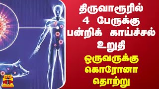 திருவாரூரில் 4 பேருக்கு பன்றிக் காய்ச்சல் உறுதி - ஒருவருக்கு கொரோனா தொற்று