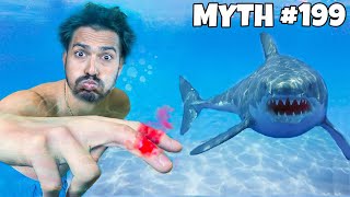 BUSTING 24 MYTHS IN 24 HOURS! | EXTREME MYTHS | Hungry Birds