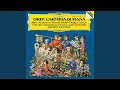 Orff: Carmina Burana / 3. Cour d'amours: 