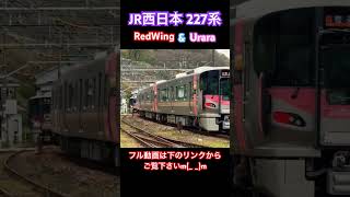 【227系 RedWingとUraraの共演】 #鉄道 #train #電車 #shorts #youtubeshorts