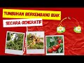 10 Contoh Tumbuhan yang Berkembang Biak secara Generatif #tumbuhan #generatif #berkembangbiak