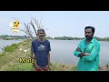 🔴 പൊക്കാളി pokkali pokkali krishi manoj edavanakkad